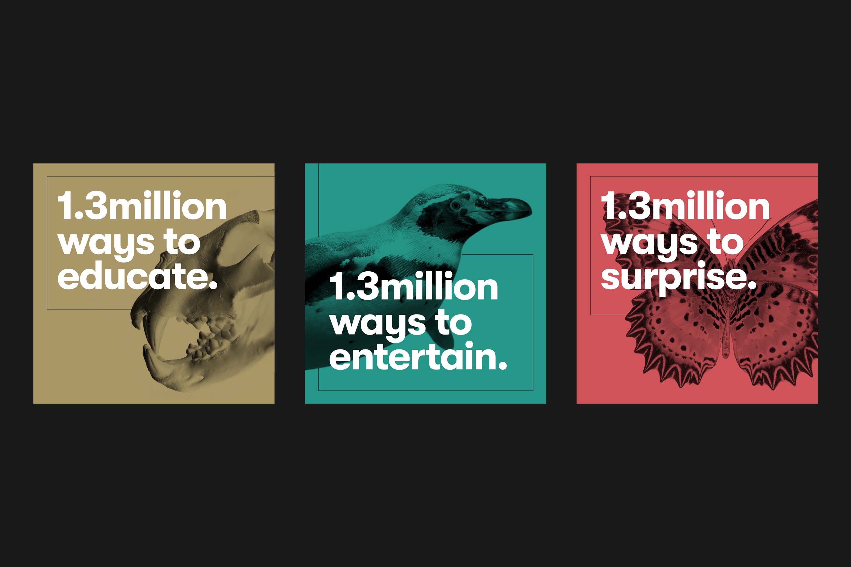 Leeds_Museums_Galleries_Marketing_Campaign-scaled.jpg